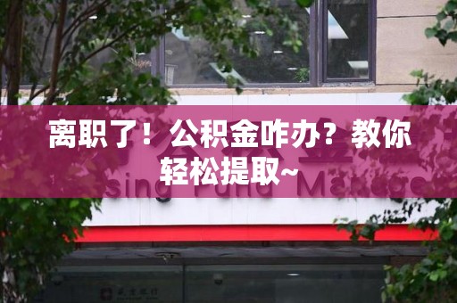 新罗离职了！公积金咋办？教你轻松提取~